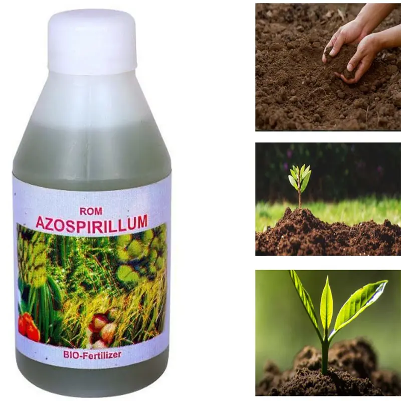 ROM Azospirillum Liquid Bio Fertilizer | Nitrogen Fixing Bacterium
